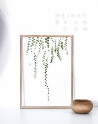 Ausstellungsstucke Shoppingtipp Blumen Pressen Pflanzen Gepresste Blumen