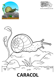 Colorir Desenho Caracol Desenhos Para Colorir Smartkids