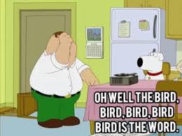 Bird Bird Bird Bird Is The Word Family Guy Https Encrypted Tbn0 Gstatic Com Images Q Tbn 3aand9gcr9w9c1pgzxnde K4teqa8xgb Ao Unklfsfw Usqp Cau