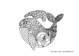 Orca whale coloring pages printable killer by colouring orca. Whale Adult Coloring Page Letmecolor