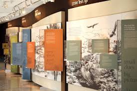 History Museum Exhibit Design Google Search Museum Exhibition Design History Exhibition History Wall