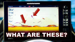 This video explains what humminbird mega 360 imaging® is and how to read it. Sonar Basics How To Find Fish Youtube