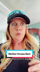 Don’t give in to his adorable brown eyes. 🥴 #hyperdog #lotsofenergy  #thefrisbeehelps #lipsync #fyp