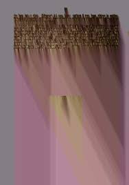 Image result for Ochna leptoclada