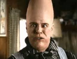 Top 5 favorite comedy actors 1) John Candy 2) Dan Aykroyd 3) Steve Martin  4) Dietrich Bader 5) Danny Woodburn