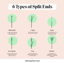 Nearly 25% of indian women struggle with split ends(1) and resultant hair breakage! What Causes Split Ends Learn How To Prevent Damage In Hair