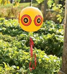 Bird Deterrents For Gardens Bird Control In The Garden Bird Control Bird Deterrents Chickens Backyard