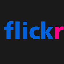 Logged out users see photos in order of date upl. How To Download Your Photos From Flickr The Verge