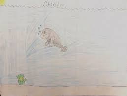 Retarded Manatee Drawing By Emely Garcia | Fine Art America