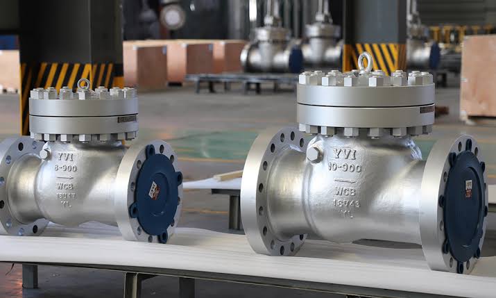 6D Swing Check Valve