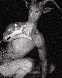 The maryland goatman is a cryptid located in the prince georges county, maryland. Goatman Villains Wiki Fandom