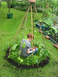 Start Of A Bean Wigwam We Used The Garden Planner To Design This The Plan Is Just Above Diy Garden Projects Gardening For Kids Preschool Garden
