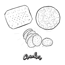 Hand Drawn Sketch Of Cracker Bread Hebstreits Maps And Sketches How To Draw Hands Crackers Vector Drawing