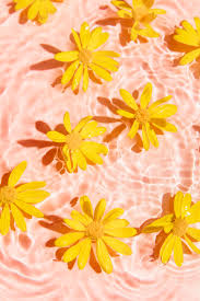 Customize your desktop, mobile phone and tablet with our wide variety of cool and interesting pink aesthetic wallpapers in just a few clicks! Yellow Daisy In Pink Pool Water Yellow Aesthetic Pastel Yellow Wall Art Pastel Aesthetic