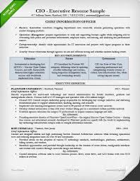 Executive Resume Examples Writing Tips Ceo Cio Cto