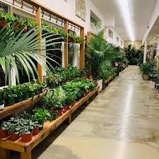 The staff is extremely knowledgeable and helpful. Johnson Garden Center Posts Facebook