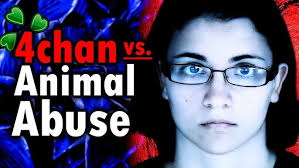 Animal Abuse and Domestic Violence AZ Animal Welfare League