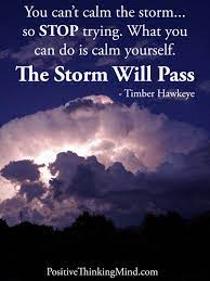 You Can T Calm The Storm So Stop Trying Timber Hawkeye Calming The Storm Storm Quotes Calm