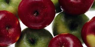Apple Varieties In Kentucky