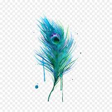 asiatic peafowl feather bird clip art 182572 png images pngio asiatic peafowl feather bird clip art