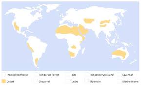 Rainforests can be tropical, subtropical, and temperate forests. Types Of Biomes Bioninja