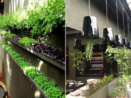 Pepo Edible Garden
