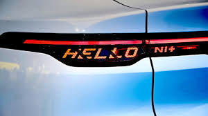 Puffy hairy pussy revealing her untouched allure.