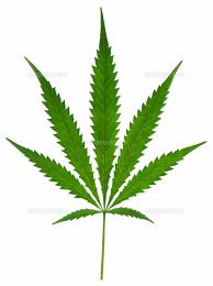 Image result for 麻の葉