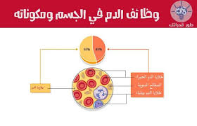 الدم هو في الأساس نوع من الأنسجة الضامة الموجودة في جسم الإنسان في الحالة السائلة يتكون من البلازما وهو سائل عالي اللزوجة و 3 أنو pie chart chart blog posts