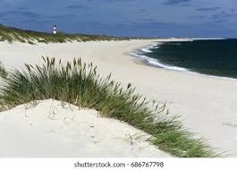 Because sylt island is a little bit like a germany's mallorca, it is perhaps not surprising that you experience an extraordinary service. Sand Dunes Island Sylt Germany Stock Photo Edit Now 686767798