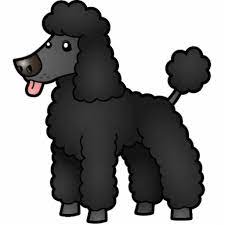 We would like to show you a description here but the site won't allow us. Pin On Poodles