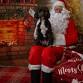 RSPCA Christmas Fair event image