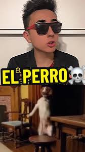 Encuentro aterrador con un perro extraño de noche