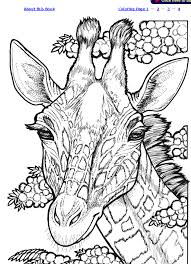 You can introduce the child to different animals in coloring pages on our website. 700 Vbs In The Wild 2019 Ideas Animal Coloring Pages Coloring Pages Coloring Books