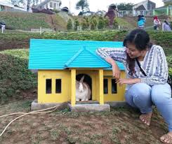 Amer3 mgi mouse gene detail mgi 3026939 ap. Superscappy Taman Kelinci Pasir Empul Malingping Ngainun Naim Taman Kelinci Pasopati Sejak Dibuka Pada Tahun 2017 Banyak Pengunjung Ramai Mendatangi Tempat Ini Setiap Harinya