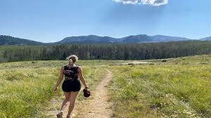 We did not find results for: Download 20 Song Lyric Untertitel 2020