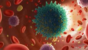 What Are Liquid Biopsies Understanding Ctdna And Circulating Tumor Cells Md Anderson Cancer Center