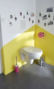 Wc Deco Castorama Amenagement Toilettes Idee Deco Toilettes Peinture Toilettes