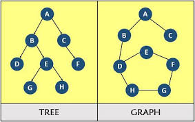 Difference Between Tree And Graph With Comparison Chart