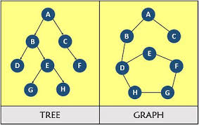 difference between tree and graph with comparison chart