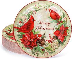 Amazon.com: AnyDesign 40Pcs Merry Christmas Paper Plates Cardinal  Poinsettia Disposable Plates Vintage Flower Watercolor Tableware Decor for  Dessert Appetizer Xmas Party Supplies, 9.1 x 9.1 Inch : Health & Household