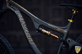 Pivot Switchblade 29 Goldedition Watzup Oberhausen Mountainbike Shop In 2020 Mountainbike Shop Mountainbike Gute Fahrt