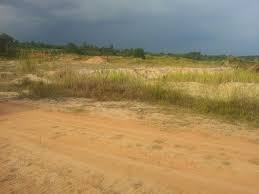 7,230 likes · 92 talking about this · 77,499 were here. House For Rent At Taman Rinting Masai Land
