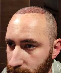 Brevdak — все посты пользователя по времени