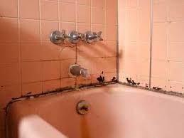 The mold in your shower grout is unsightly and can be tough to clean without the right product. Prevent Expensive Bathroom Repairs Promaster 513 724 0539