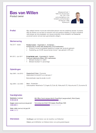 Wie kent voorbeeld modern curriculum vitae niet. Professioneel Cv Maken De Complete Gids In 2021