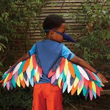 Wild Wings Dress Up Set Bird The Land Of Nod Anaokulu Kostum Hayvanlar