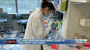 St Jude Scientists Make Breakthrough And Discover Possible Covid 19 Treatment