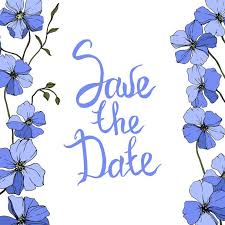 Διάνυσμα Μπλε Λινάρι Floral Βοτανικό Λουλούδι Σε Royalty-Free Διανυσματική  Εικόνα