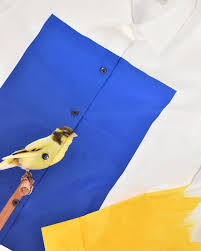 dries van notenはinstagramを利用しています luke stephenson the images from an incomplete dictionary of show birds have been an insp inspiration country flags wind sock